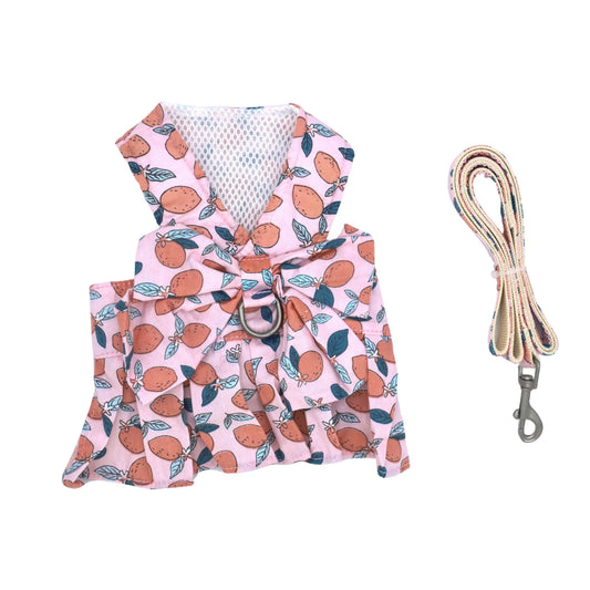 Pet Harness and Leash Set: Summer Fruit Collection