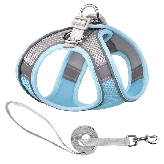 Pet Harness Set：Lightweight Breathable