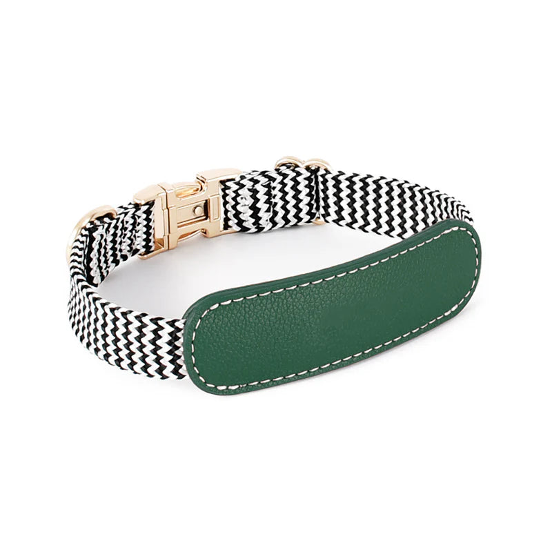 Pet Collar: Fashionable Lightweight Luxury